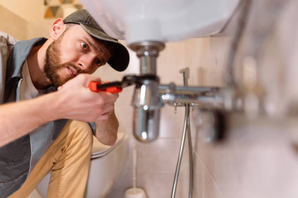 Best Commercial Plumbing Services  in Waverly, MI